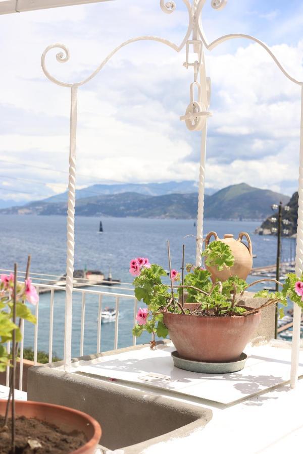Casa Tarantino Capri Charming Apartments Zewnętrze zdjęcie